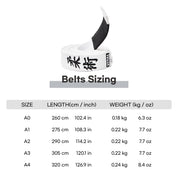 EMBROIDERED BELT - Vital Kimonos